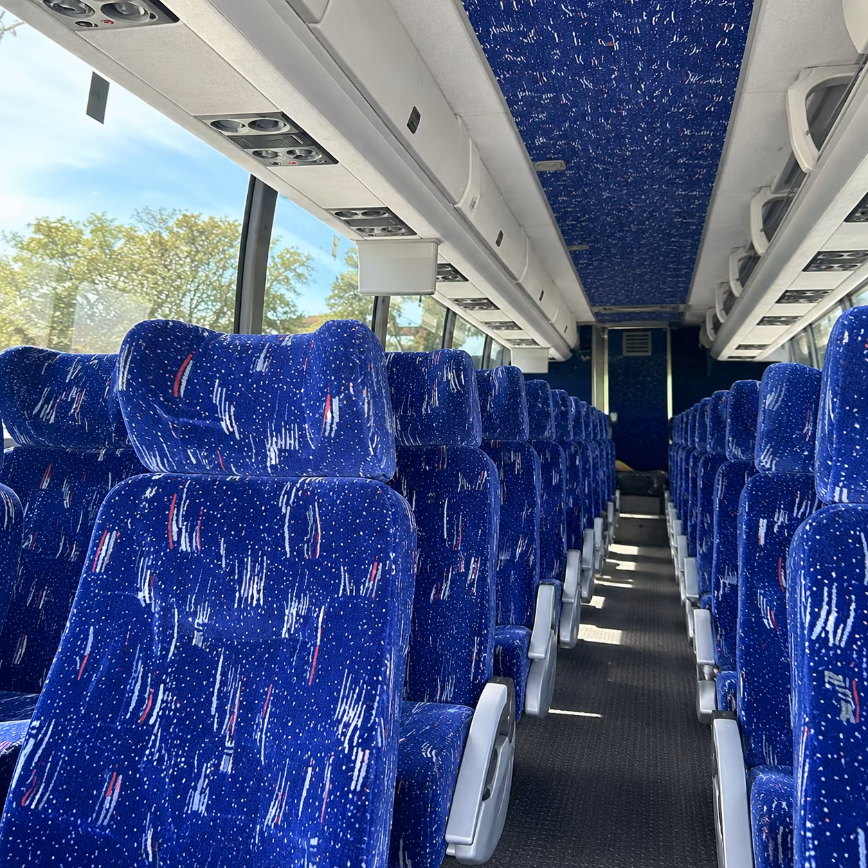 book the perfect ride for your next birthday 4